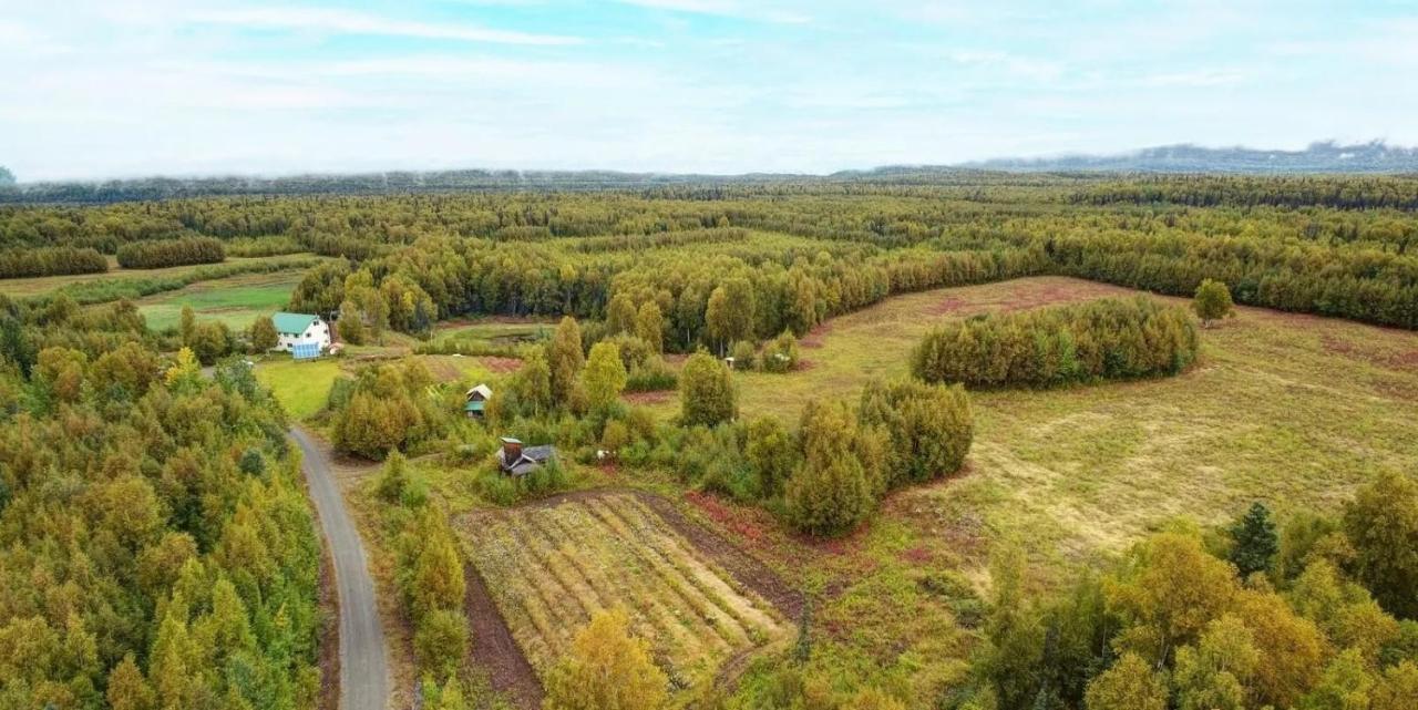 Falcon'S Nest Bed And Breakfast Талкитна Екстериор снимка