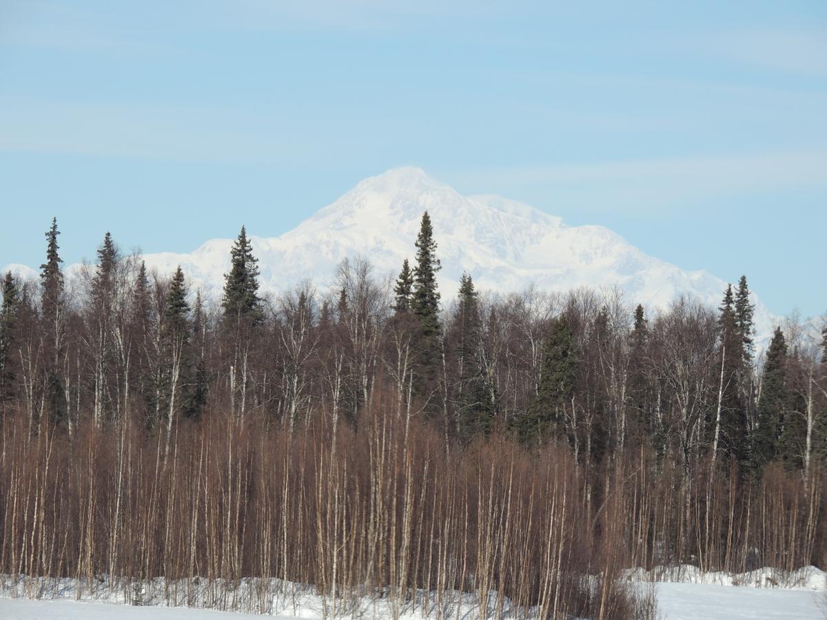 Falcon'S Nest Bed And Breakfast Талкитна Екстериор снимка