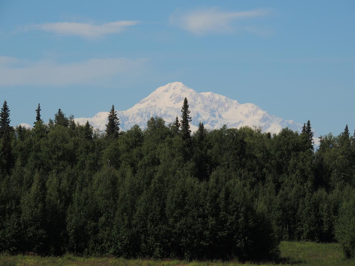 Falcon'S Nest Bed And Breakfast Талкитна Екстериор снимка